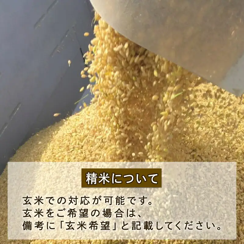 特別栽培米 コシヒカリ 計 10kg 令和7年度産 三間町特別栽培米生産組合 美沼姫 お弁当 おにぎり 玄米 対応可 ふっくら ツヤツヤ 甘い 三間米 米 国産 愛媛 宇和島 G030-032001