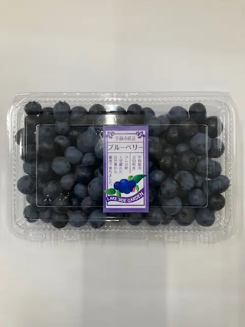 生ブルーベリー 約1.3kg 南四国ファーム ベリー F013-035006