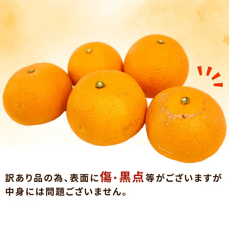 訳あり 八朔 10~12kg 訳あり ふるくとファーム かなこちゃんち B015