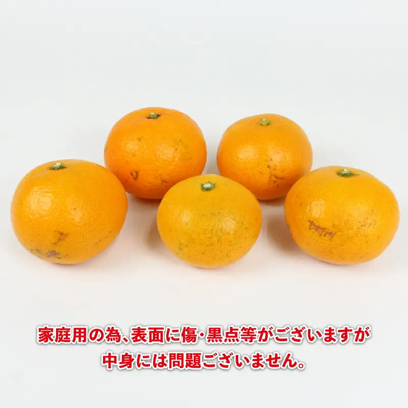 早生 みかん 10kg 家庭用 陽だまりミカン 早生 B012-050001