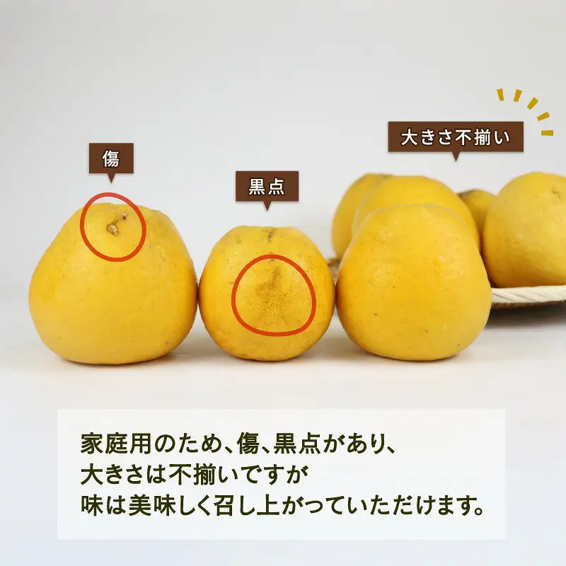 河内晩柑 7.5kg 陽だまりミカン 柑橘 柑橘 B010-050003