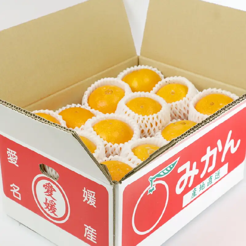 【紅まどんな と同品種】屋根かけ愛果28号 まどんな 4.5kg陽だまりミカン│B018-050004