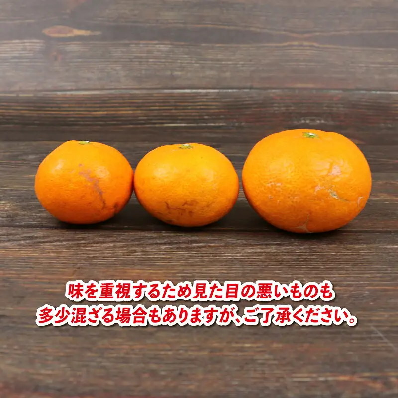 愛媛みかん 早生温州 9kg サイズ不揃い 家庭用 兵頭農園 先行予約 みかん mikan 愛媛ミカン 愛媛蜜柑 早生 温州 温州みかん 不揃い 果物 くだもの フルーツ 柑橘 蜜柑 産地直送 農家直送 数量限定 国産 愛媛県産 愛媛 宇和島 B012-055001