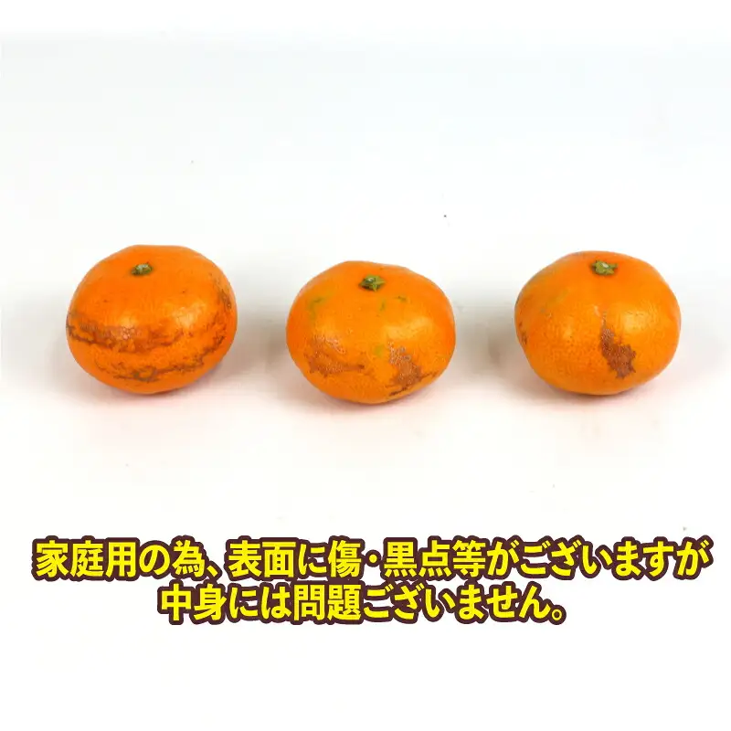 愛媛みかん 早生 温州 10kg サイズ 不揃い 家庭用 上杉果樹園 温州みかん B012-056001