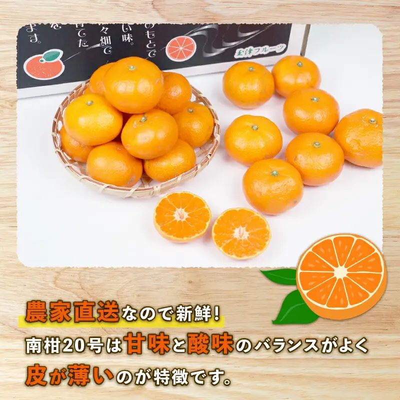  【 みかん 】みかん南柑20号10kg家庭用上杉果樹園|B012-056002