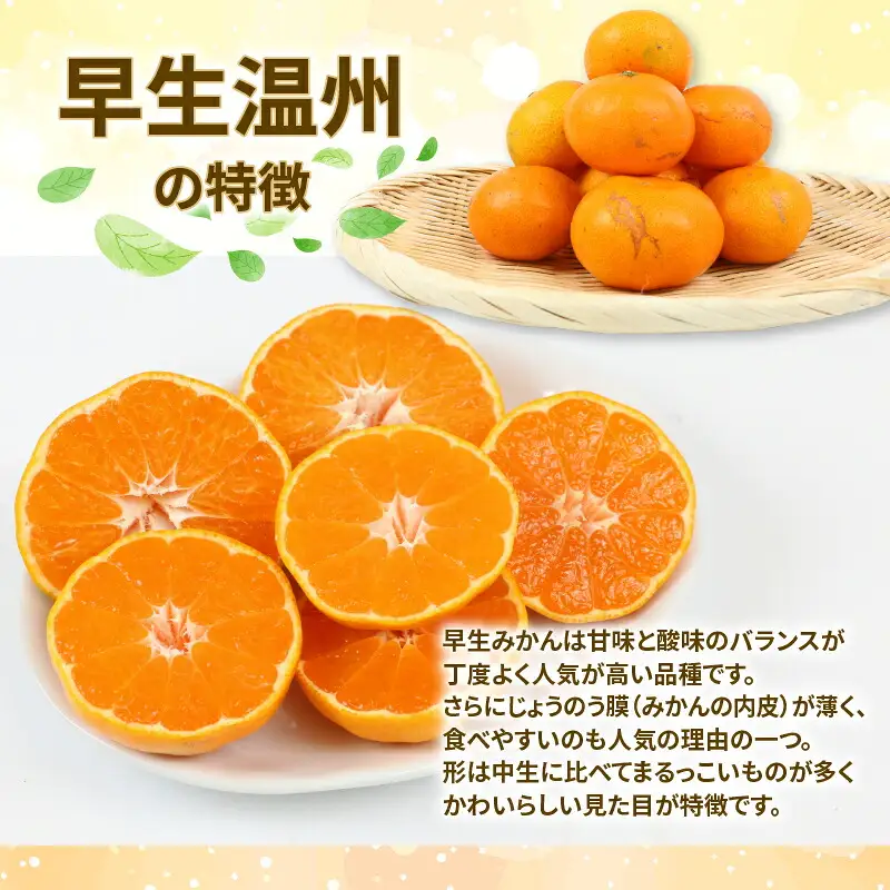 愛媛 みかん 早生 温州 10kg 家庭用 サイズ不揃い NBU みかん B015-058001