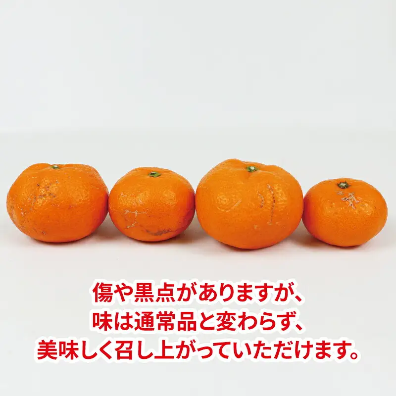 【みかん】南柑20号10kg家庭用サイズ不揃いNBUみかん|B015-058002