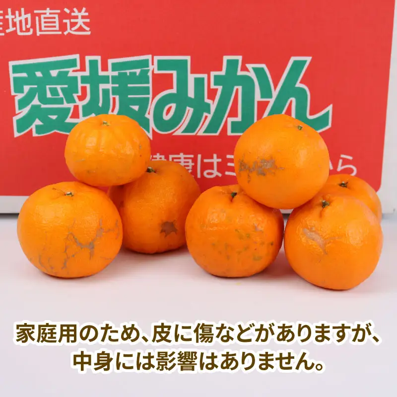 【ポンカン】冬の柑橘ポンカン 9kg NBU B015-058003