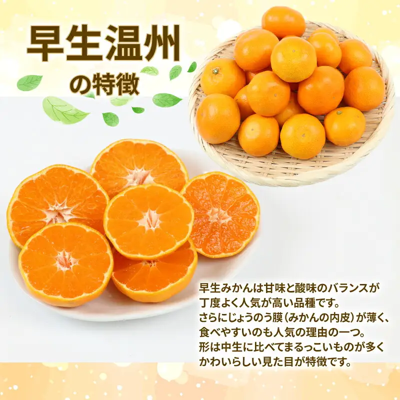 贈答用 優品 愛媛 みかん 早生 温州 10kg サイズ不揃い NBU B018-058004