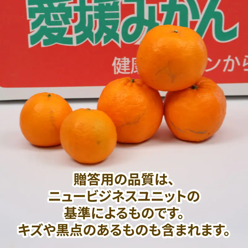 【ポンカン】冬の柑橘ポンカン 9kg ニュービジネスユニット B018-058006