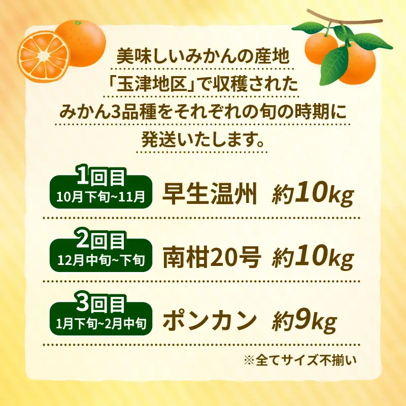 【定期便】みかん定期便柑橘3回NBU |B050-058007 みかん