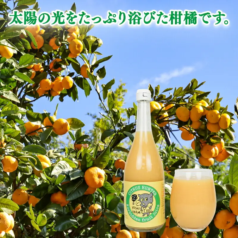 みかんジュース (720ml ×5本) │ さっぱり みかんジュース ヨシファーム H014-067003