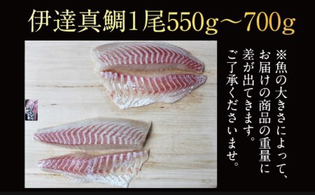 伊達真鯛 刺身 柵 宇和島プロジェクト真鯛 D022-071005