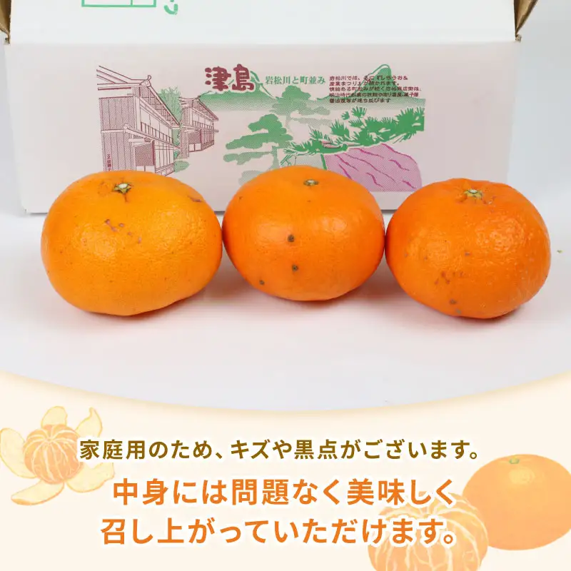 【甘平】高級柑橘2kg家庭用ハウス栽培ハマみかん甘平|B012-075002