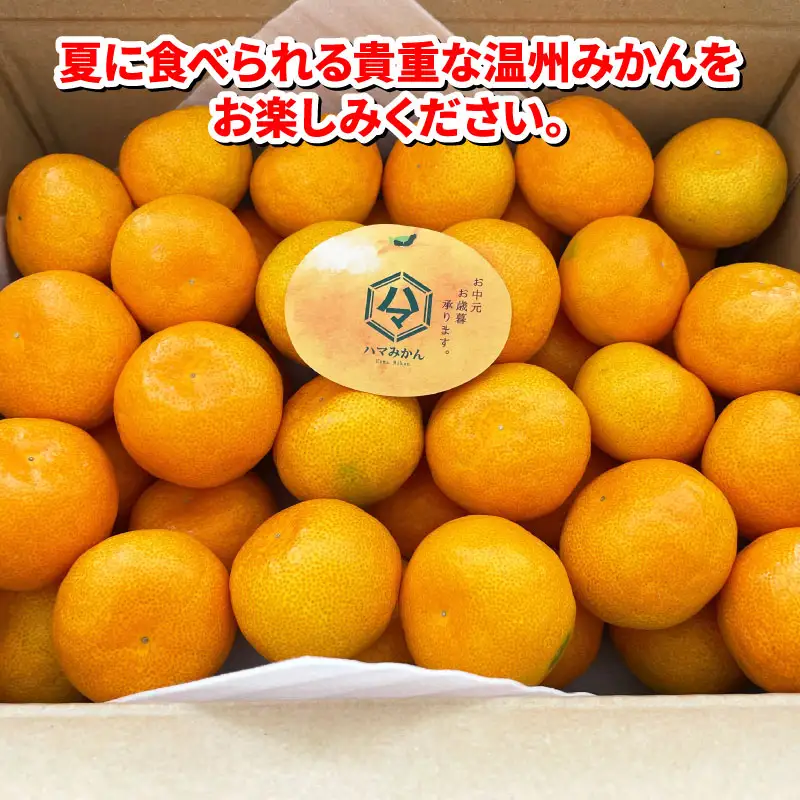 温室みかん 4kg 家庭用 ハマみかん 温室 B025-075007