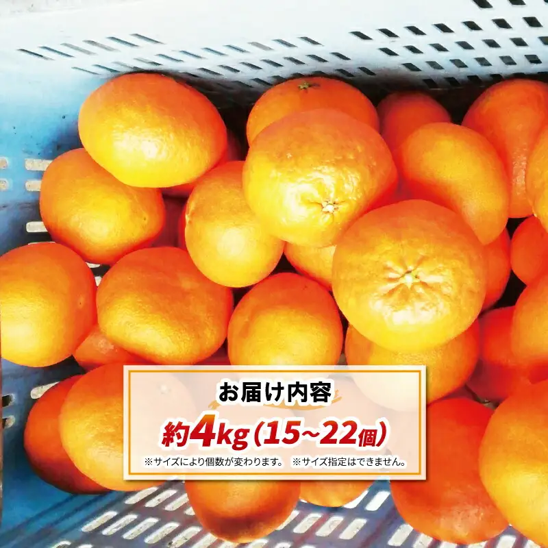 甘平 4kg 15~22個 ハウス栽培 甘平 南予ファーム B024-082003