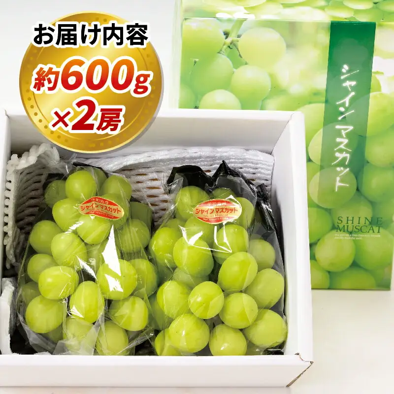 シャインマスカット 計 1.2kg 600g × 2房 南予ファーム ｼｬｲﾝﾏｽｶｯﾄｼｬｲﾝﾏｽｶｯﾄｼｬｲﾝﾏｽｶｯﾄ F020-082007