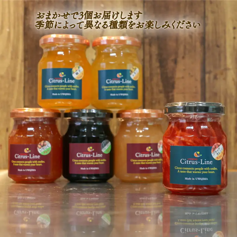 ジャム マーマレード 詰め合わせ 3個 Citrus-Line ジャム J012-098001
