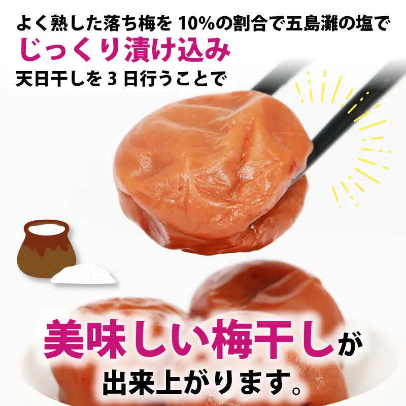 梅干し 1.1kg 先行予約 夢萬開 梅干し しそ漬け F010-105001
