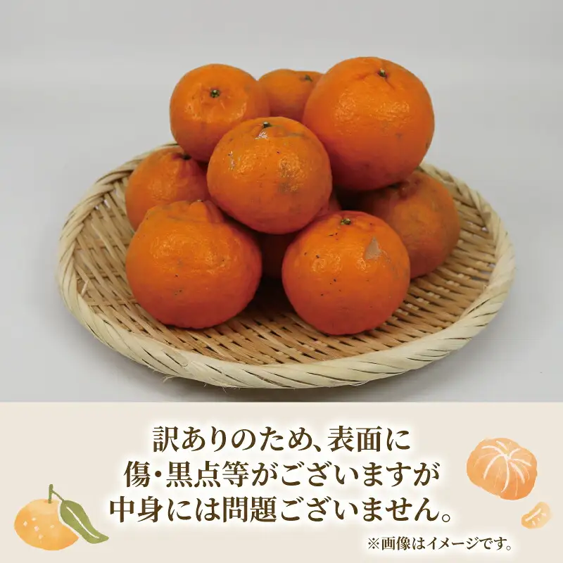 訳ありポンカン 10kg 不揃い マル南フルーツ みかん ﾎﾟﾝｶﾝ B010-106001