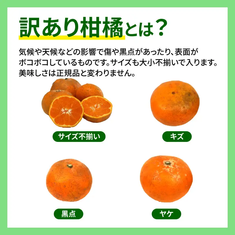 柑橘訳ありはれひめ5kg 先行予約マル南フルーツ みかん柑橘柑橘柑橘柑橘 B012-106002