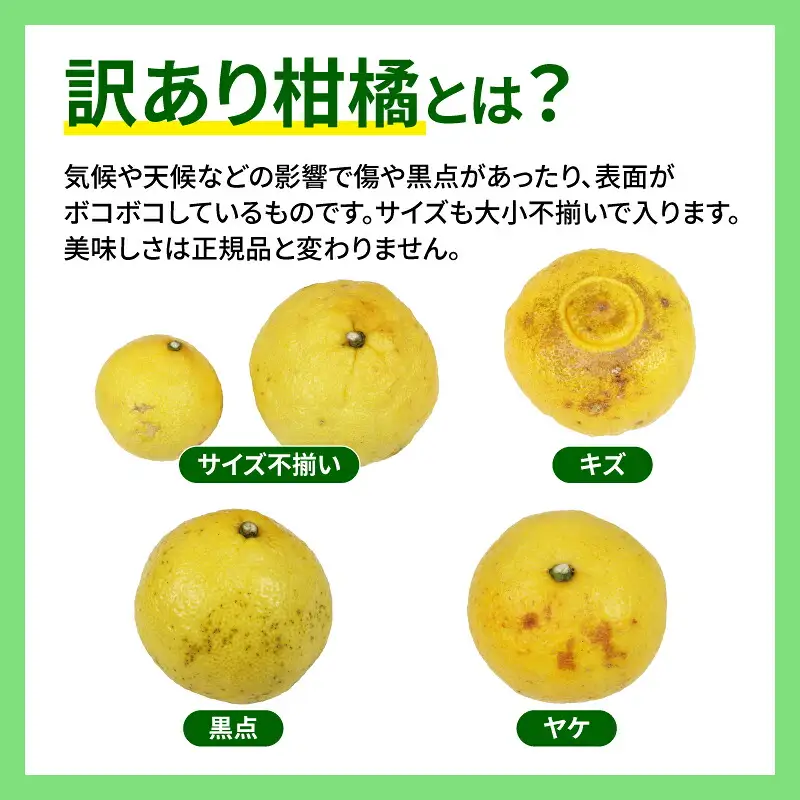 訳あり はるか 5kg マル南フルーツ はるか B012-106003