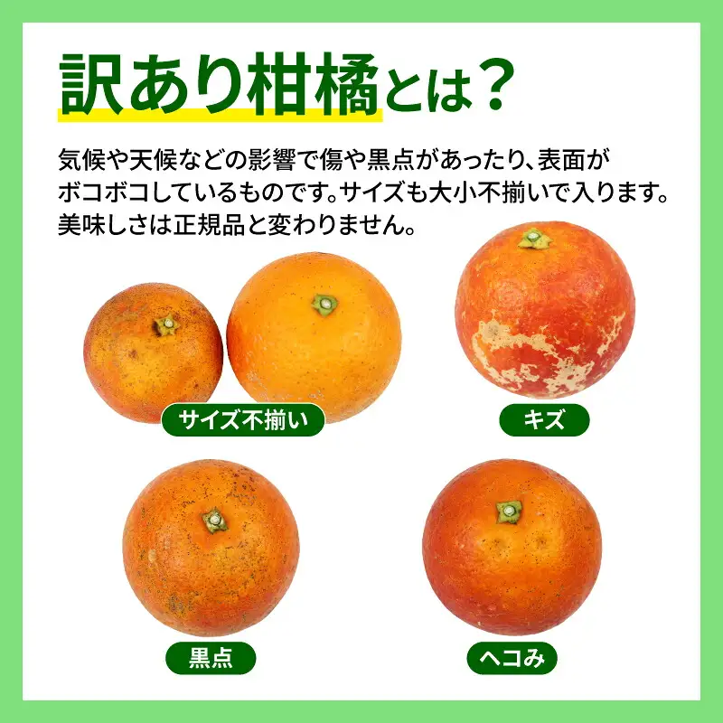 ブラッドオレンジ 訳あり 5kg マル南フルーツ オレンジ B012-106006