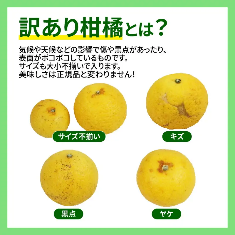訳あり 黄金柑 3kg マル南フルーツ 黄金柑 B010-106010