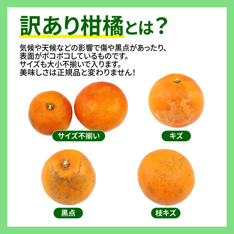 訳ありブラッドオレンジタロッコ5kg マル南フルーツ オレンジ B010-106011