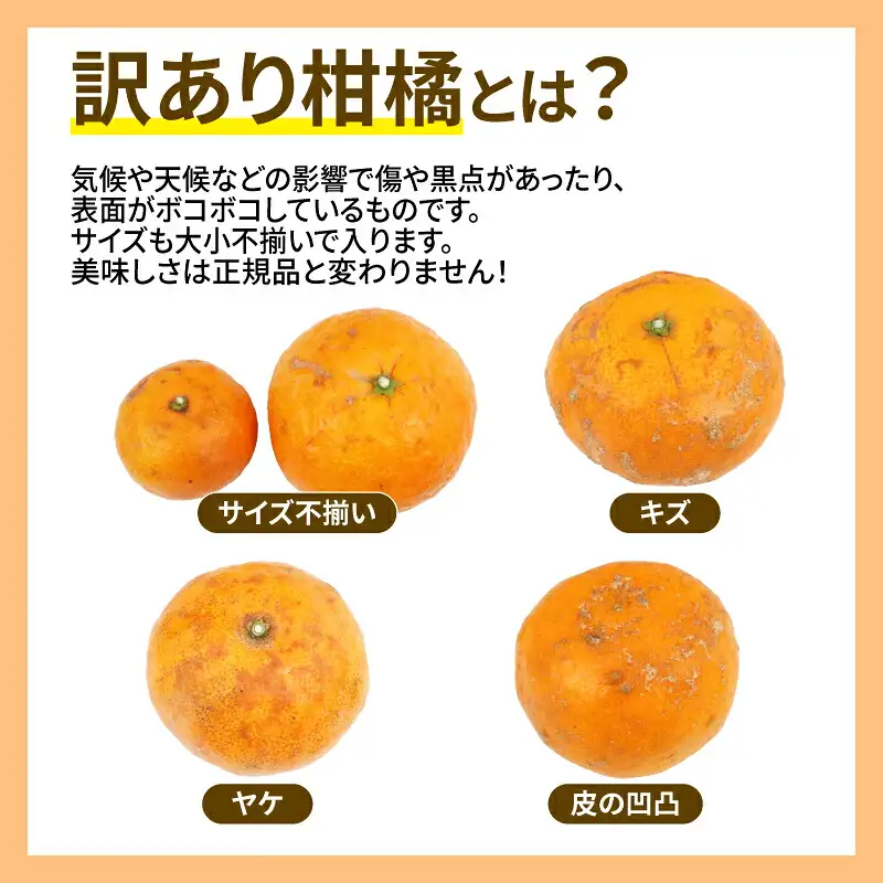 訳あり なつみ みかん 5kg マル南フルーツ 訳ありみかん B010-106012