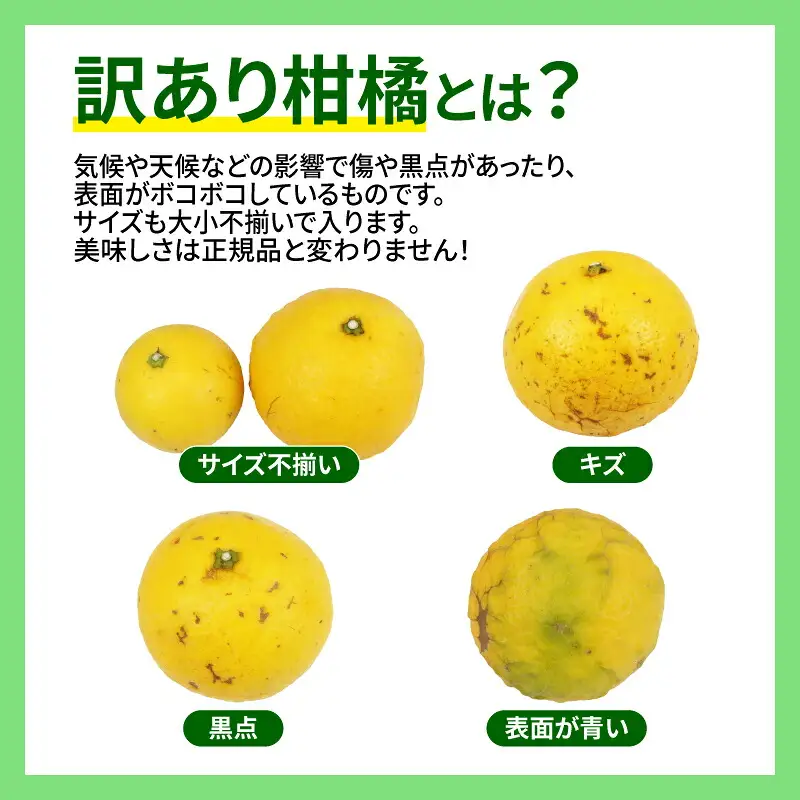 訳あり 日向夏 5kg マル南フルーツ 日向夏 B010-106013