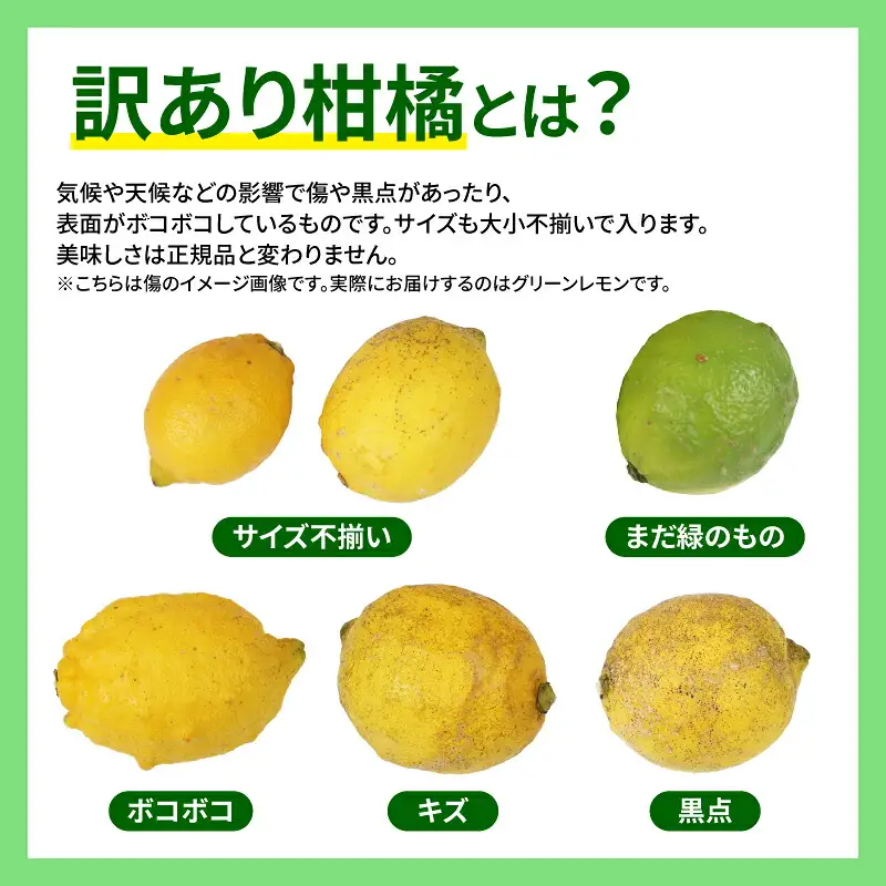 国産レモン 檸檬 レモン 訳あり グリーンレモン 5kg マル南フルーツ 先行予約 remon 愛媛県産レモン わけあり れもん 檸檬 レモン果汁 酸味 高級 希少 安心 果物 くだもの ビタミン 健康 フルーツ 訳アリ 訳あり品 柑橘 産地直送 数量限定 国産 愛媛 宇和島 B010-106016