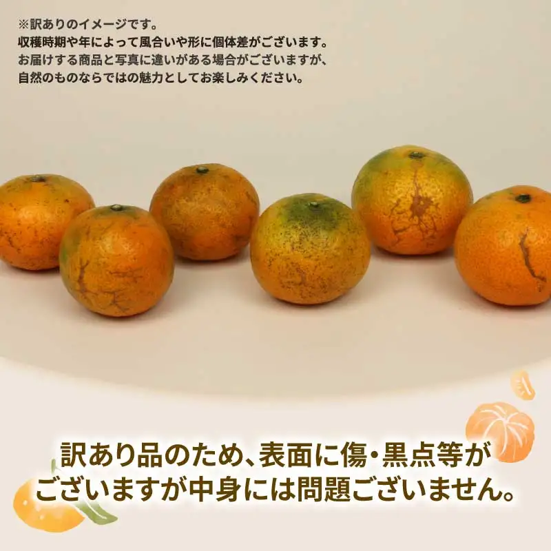 【訳あり】 みかん 南柑20号 約10kg マル南フルーツ B010-106018