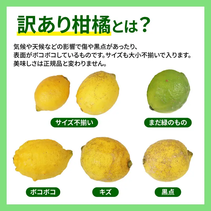 訳あり 檸檬 5kg マル南フルーツ 檸檬 B010-106020