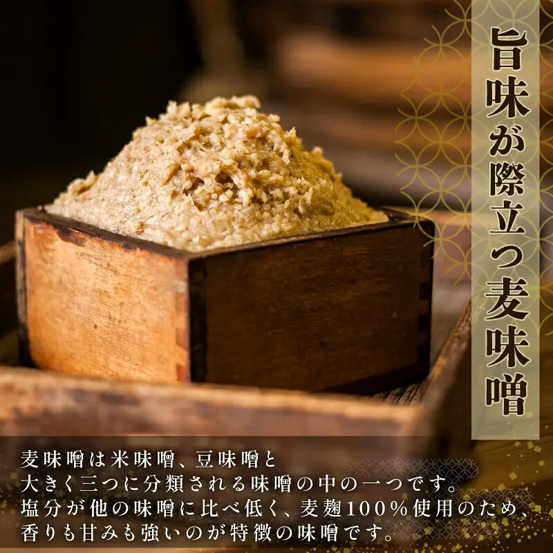 味噌 麦味噌  伊予醸造 【4kg】 味噌 J010-107001