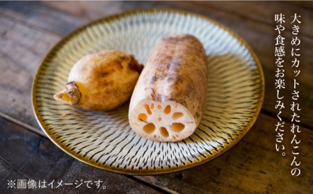 白石れんこんのまぜご飯の具（3種）れんこん [IAZ011]