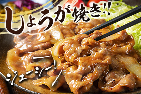 宮崎県産 豚肩ローススライス肉（400g×6パック）合計2.4kg ※ご入金月の翌月中に出荷【B585-2509】