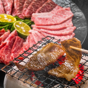 博多和牛焼肉用 500g【014-0027】