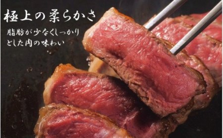【訳あり】冷蔵発送/おおいた和牛ヒレステーキ150g×3枚_2072R