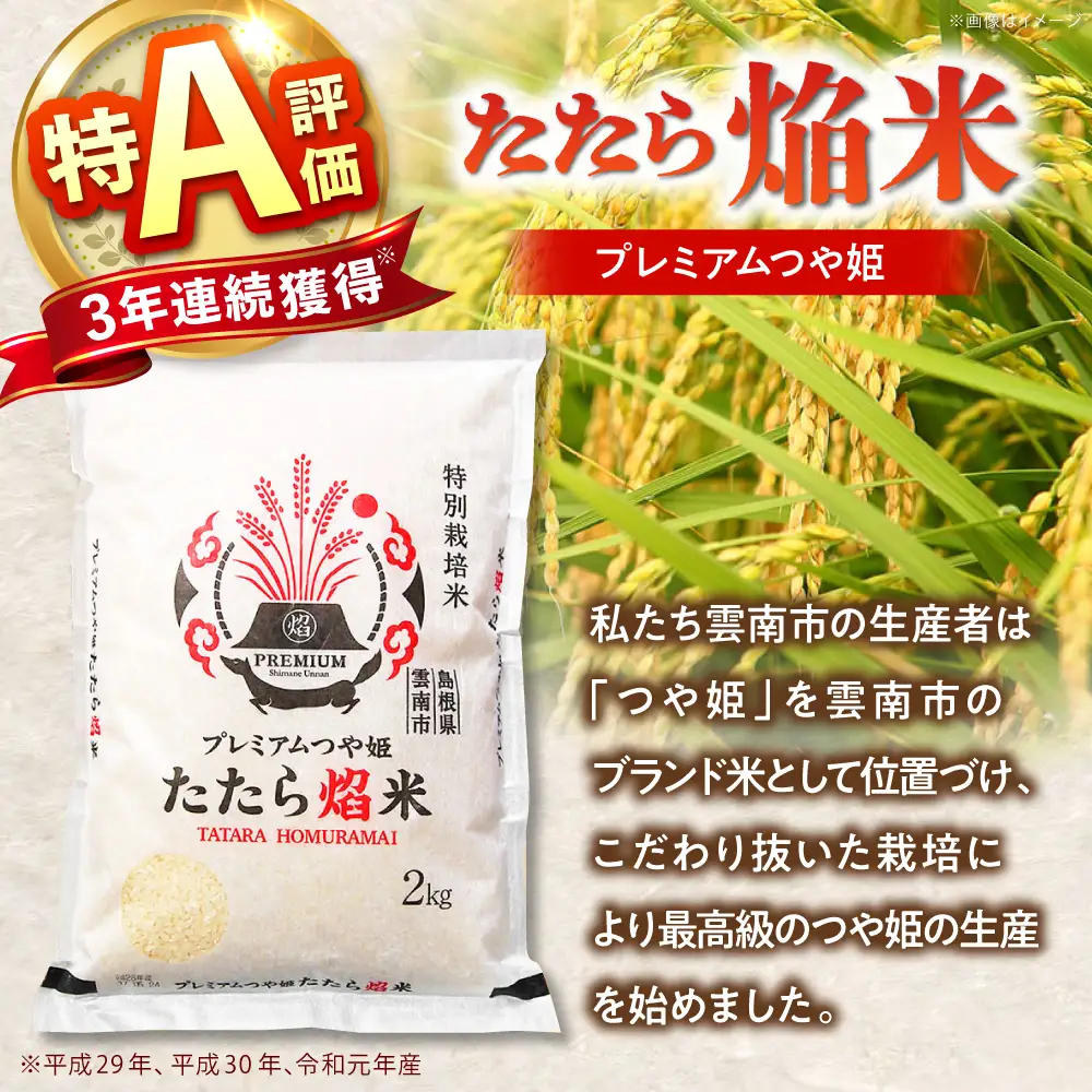 新米 【6回定期便】 プレミアムつや姫 4kg 新米 [AIBR003-r8]