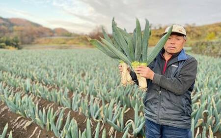 甘さが自慢の下仁田葱（Lサイズ 15本） とろける 甘い ねぎ ネギ 王様ねぎ 殿様ねぎ 特産 栄養たっぷり ブランド 上州ねぎ すきやき F21K-613