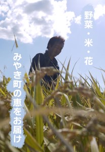 CC004_【6回定期便】かずちゃんの朝採り新鮮野菜セット毎月 6回お届け みやき町産