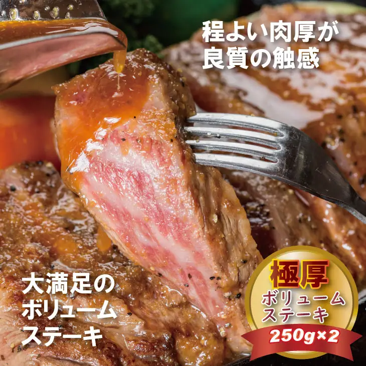 黒毛和牛 ロースステーキ 250g×2 ステーキ 牛肉  C270-001