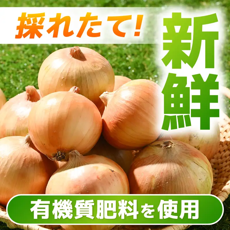 【先行予約】採れたて 新玉ねぎ 10kg（サイズ S M L ミックス）田んぼで育てた甘くて柔らか自慢の玉ねぎ！／ 常備 野菜 玉葱 たまねぎ ※2027年6月以降順次発送予定 [aw056-a020]