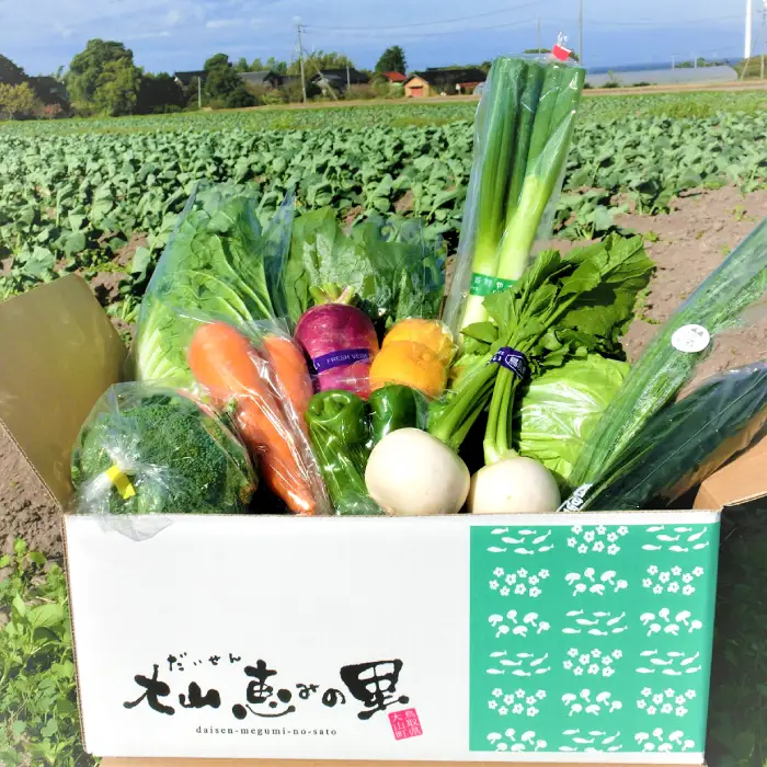 新鮮朝採れ野菜セット【 新鮮野菜 9~11種類 季節 旬 野菜 果物 詰め合せ 国産 おまかせ 葉物 根菜 冷蔵 野菜室 加工品 鳥取県産 季節限定 山菜 加工品】