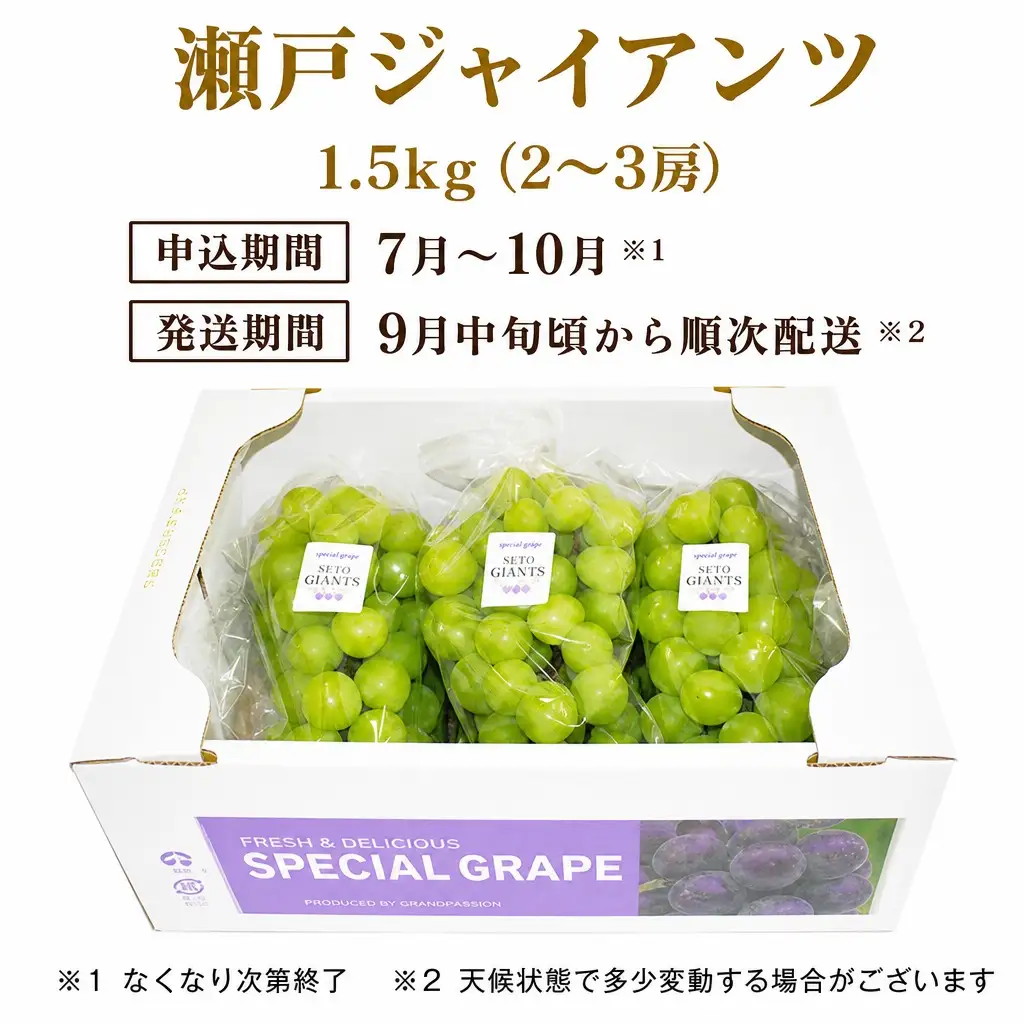 【数量限定マスカット】朝どれ！「瀬戸ジャイアンツ1.5kg(2～3房)」◆アダチ観光農園直送の絶品ぶどう◆ぶどう ブドウ 葡萄 マスカット 種なしぶどう 種無しぶどう 種無し 種なし 皮ごと 皮ごと食べられるぶどう 果物 フルーツ 産地直送 期間限定 兵庫県 朝来市 AS2CB3
