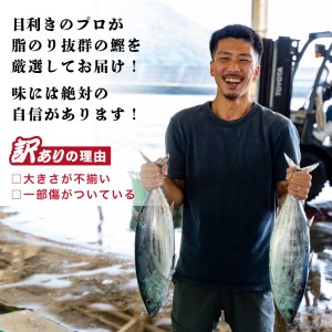訳あり カツオ たたき 1.8kg サイズ 不揃い カツオ 規格外 カツオ 傷 カツオ 小分け カツオ 真空 パック カツオ 新鮮 カツオ 鮮魚 カツオ 天然 カツオ 鰹 四国一 水揚げ タタキ 冷凍 カツオ 大容量 カツオ 愛南町 愛媛県