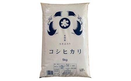 ＜定期便＞白河市産コシヒカリ精米10kg×3ヶ月連続 米 お米 コメ ごはん ご飯 食品 F25R-014