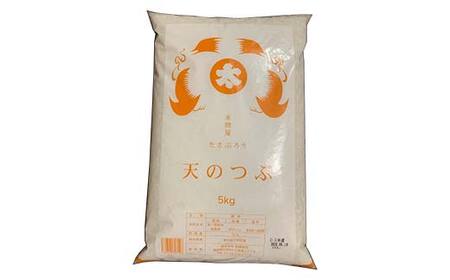 ＜定期便＞白河市産天のつぶ精米10kg×2ヶ月連続 米 お米 コメ ごはん ご飯 食品 F25R-021