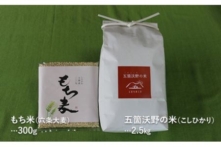 おいしい五箇沃野の米（こしひかり）2.5kgともち麦（六条大麦）300gセット F21R-760